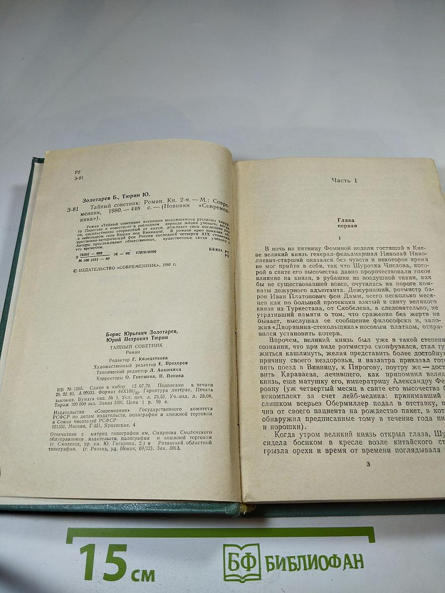 Тайный советник. Книга вторая