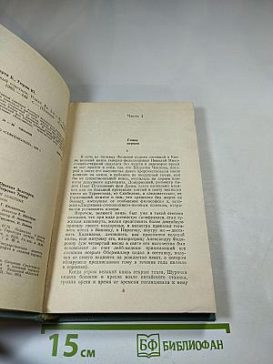 Тайный советник. Книга вторая