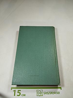 Тайный советник. Книга вторая