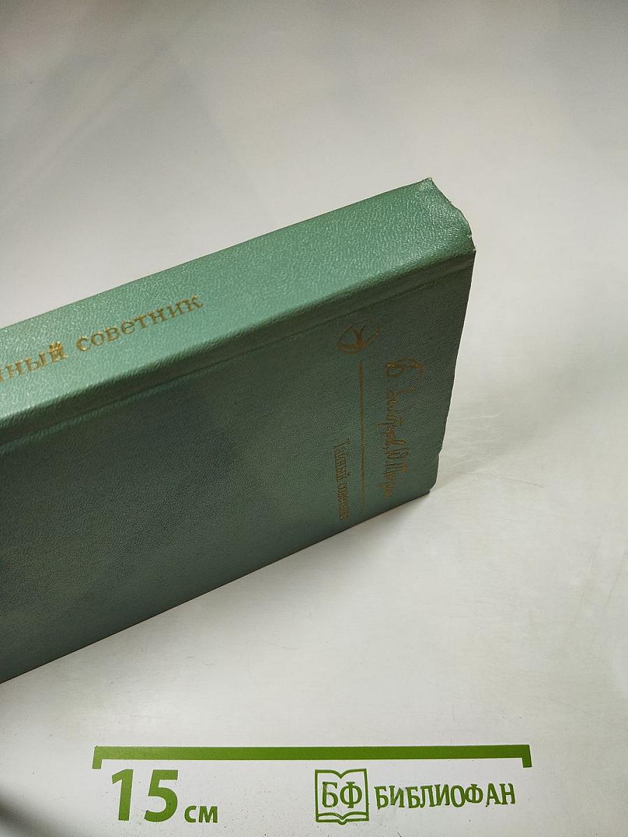 Тайный советник. Книга вторая