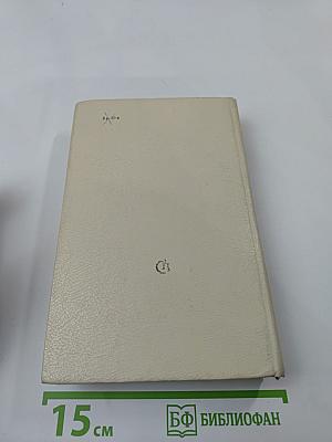 Вечерний день