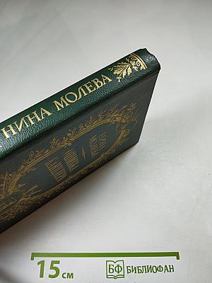 Ошибка канцлера