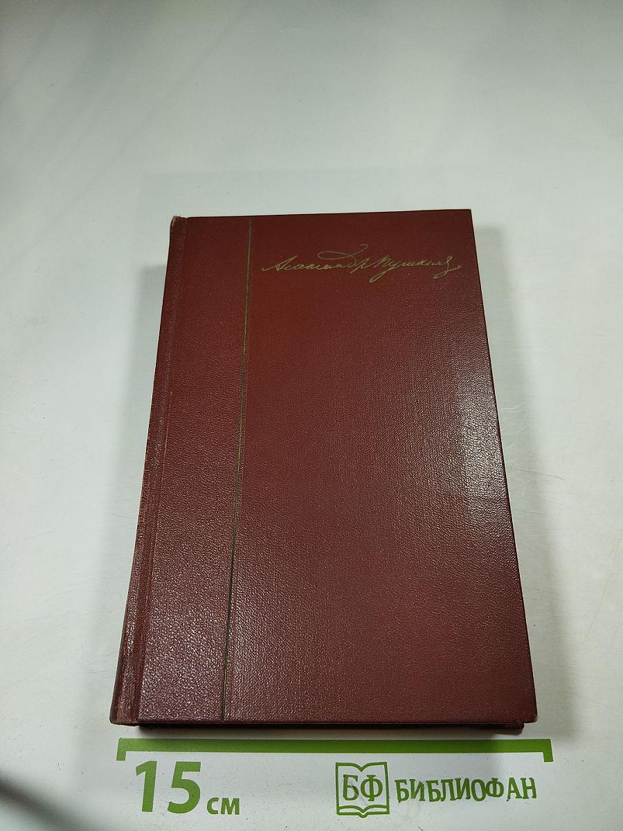 Собрание сочинений. Том шестой. Критика и публицистика