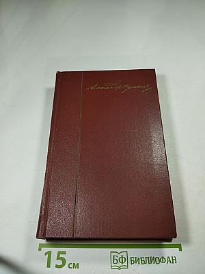 Собрание сочинений. Том шестой. Критика и публицистика