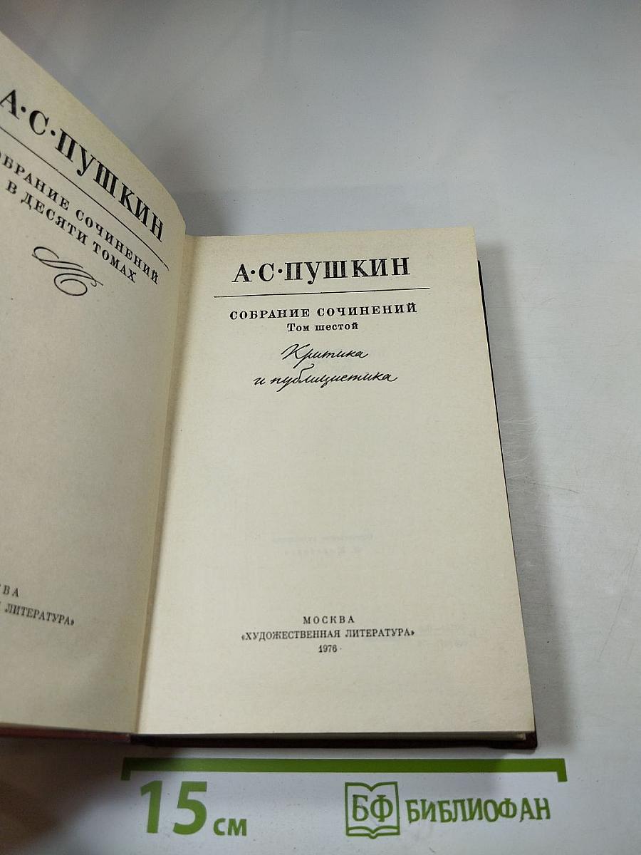 Собрание сочинений. Том шестой. Критика и публицистика