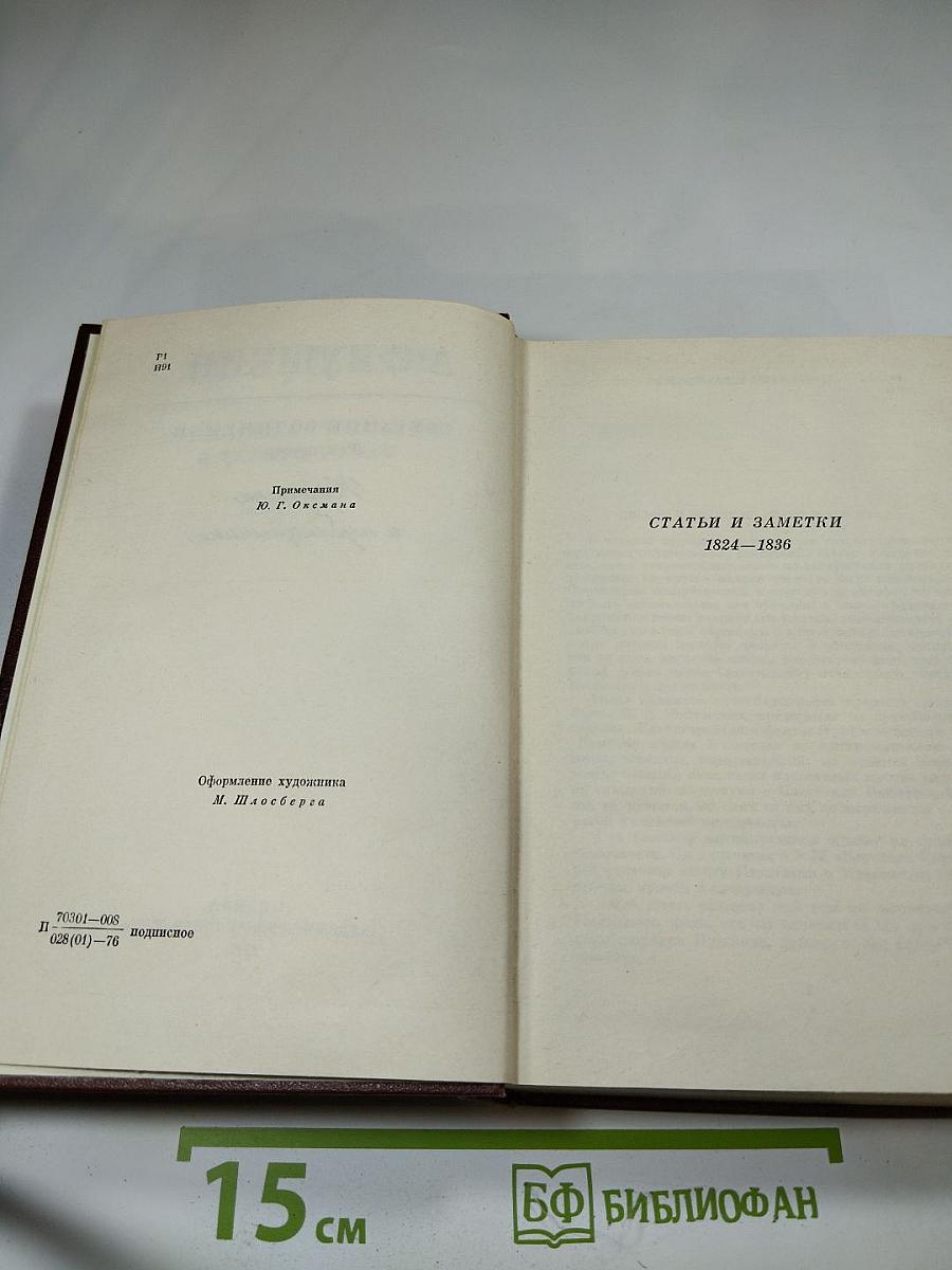 Собрание сочинений. Том шестой. Критика и публицистика
