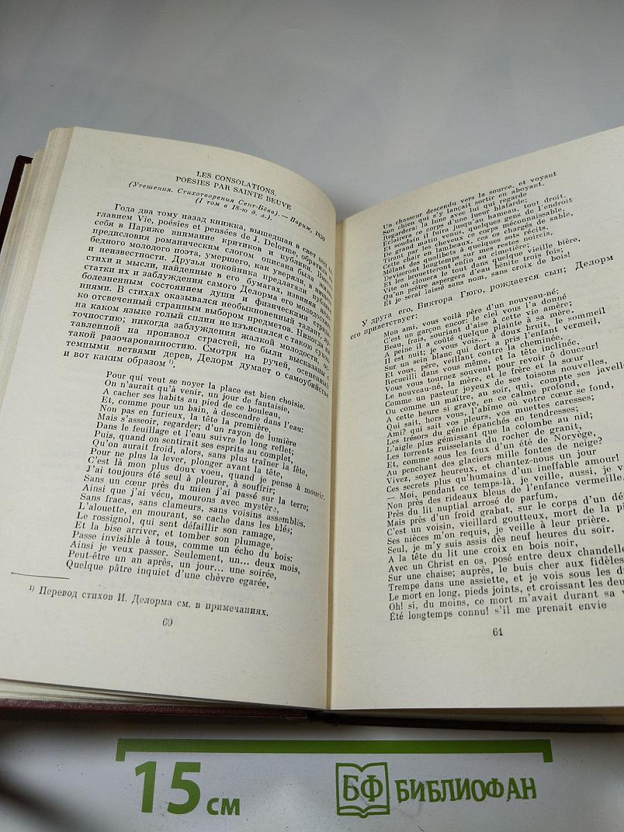 Собрание сочинений. Том шестой. Критика и публицистика
