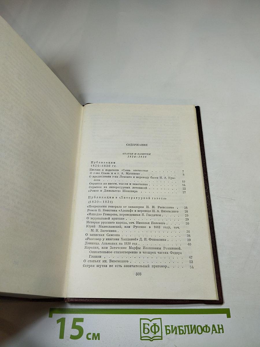 Собрание сочинений. Том шестой. Критика и публицистика