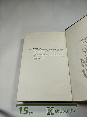 Собрание сочинений. Том шестой. Критика и публицистика