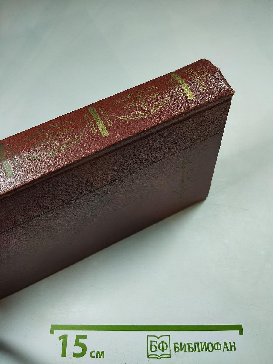 Собрание сочинений. Том шестой. Критика и публицистика