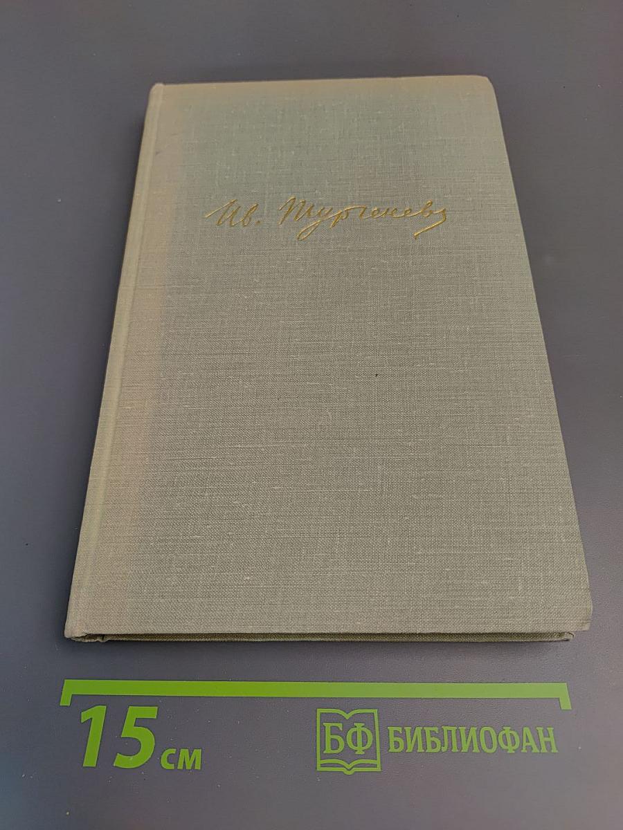 Собрание сочинений. Том десятый: Стихотворения в прозе. Литературные и житейские воспоминания. Избранные статьи и речи