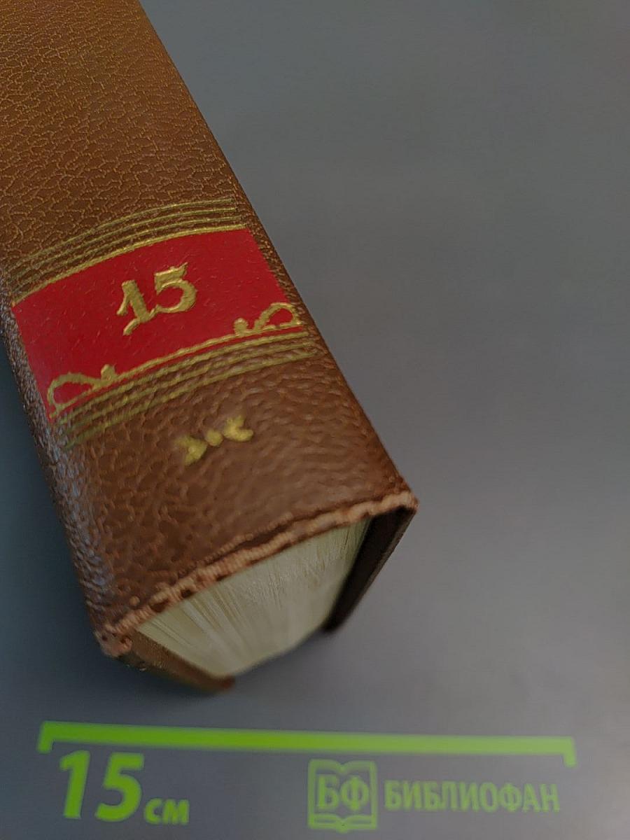 Очерки, литературно-критические статьи, избранные письма. Том 15