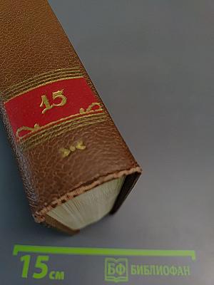 Очерки, литературно-критические статьи, избранные письма. Том 15