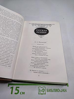 Восточные мотивы. Стихотворения и поэмы