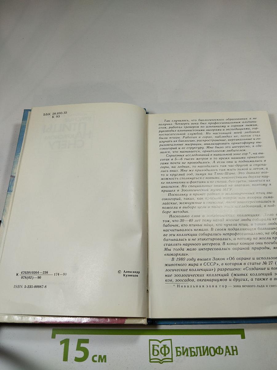 Красные птицы на красном снегу