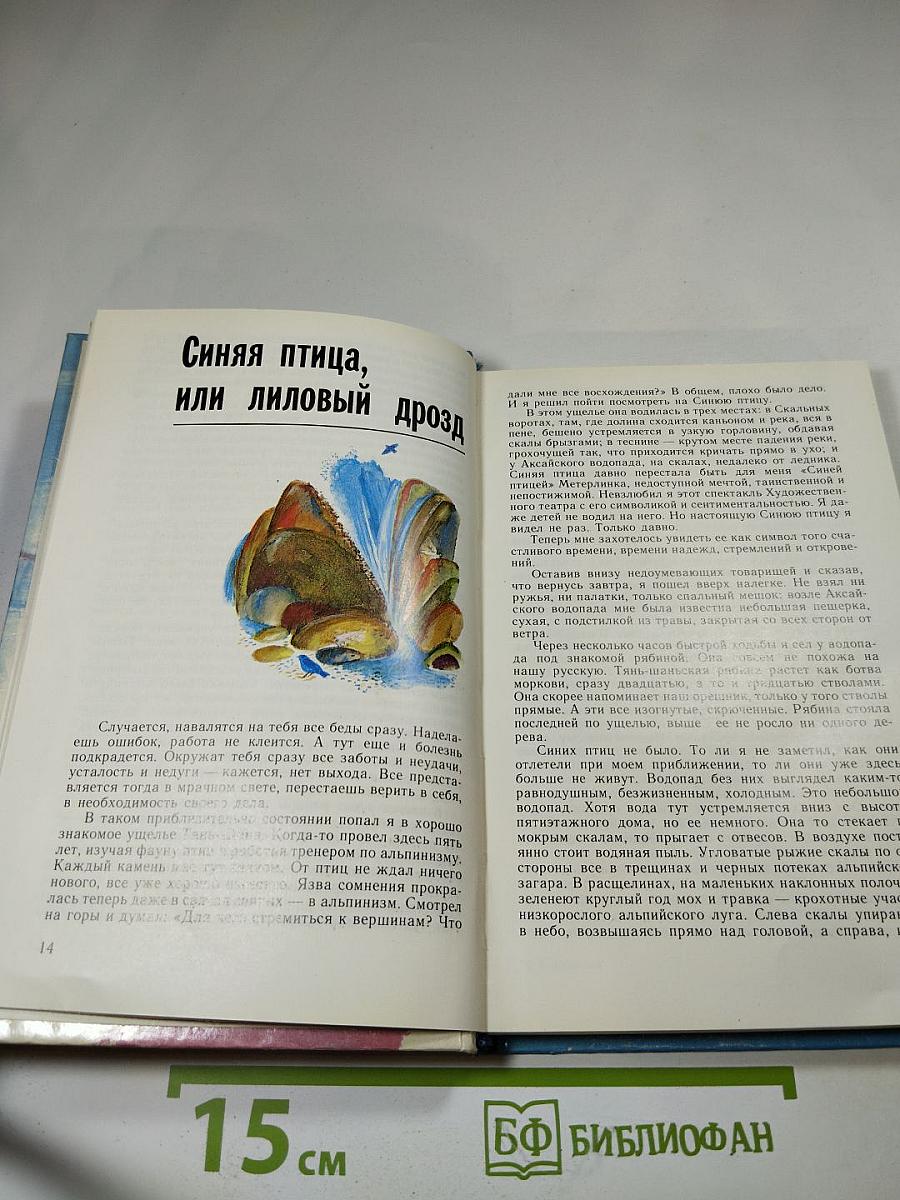 Красные птицы на красном снегу