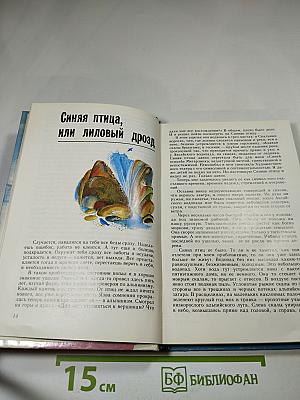 Красные птицы на красном снегу