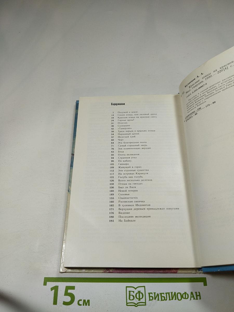 Красные птицы на красном снегу