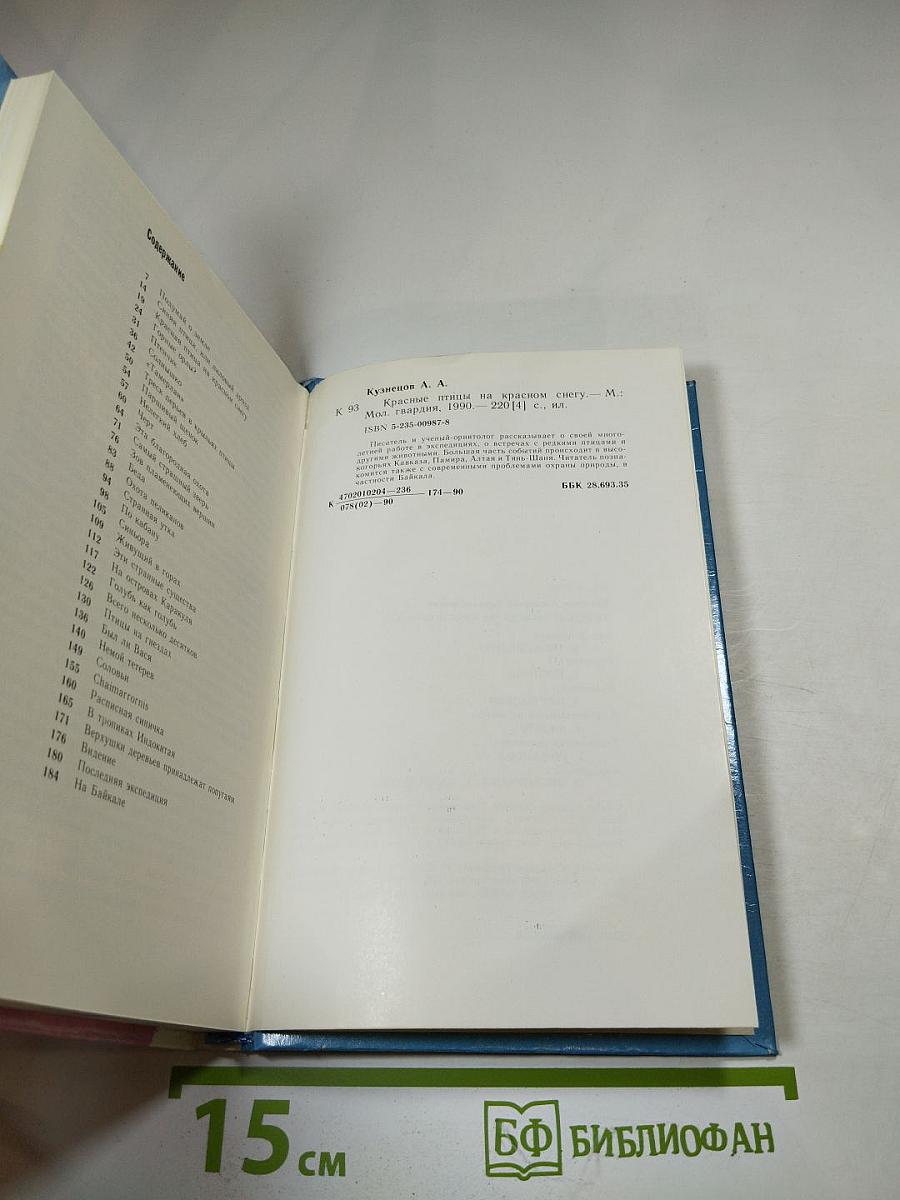 Красные птицы на красном снегу