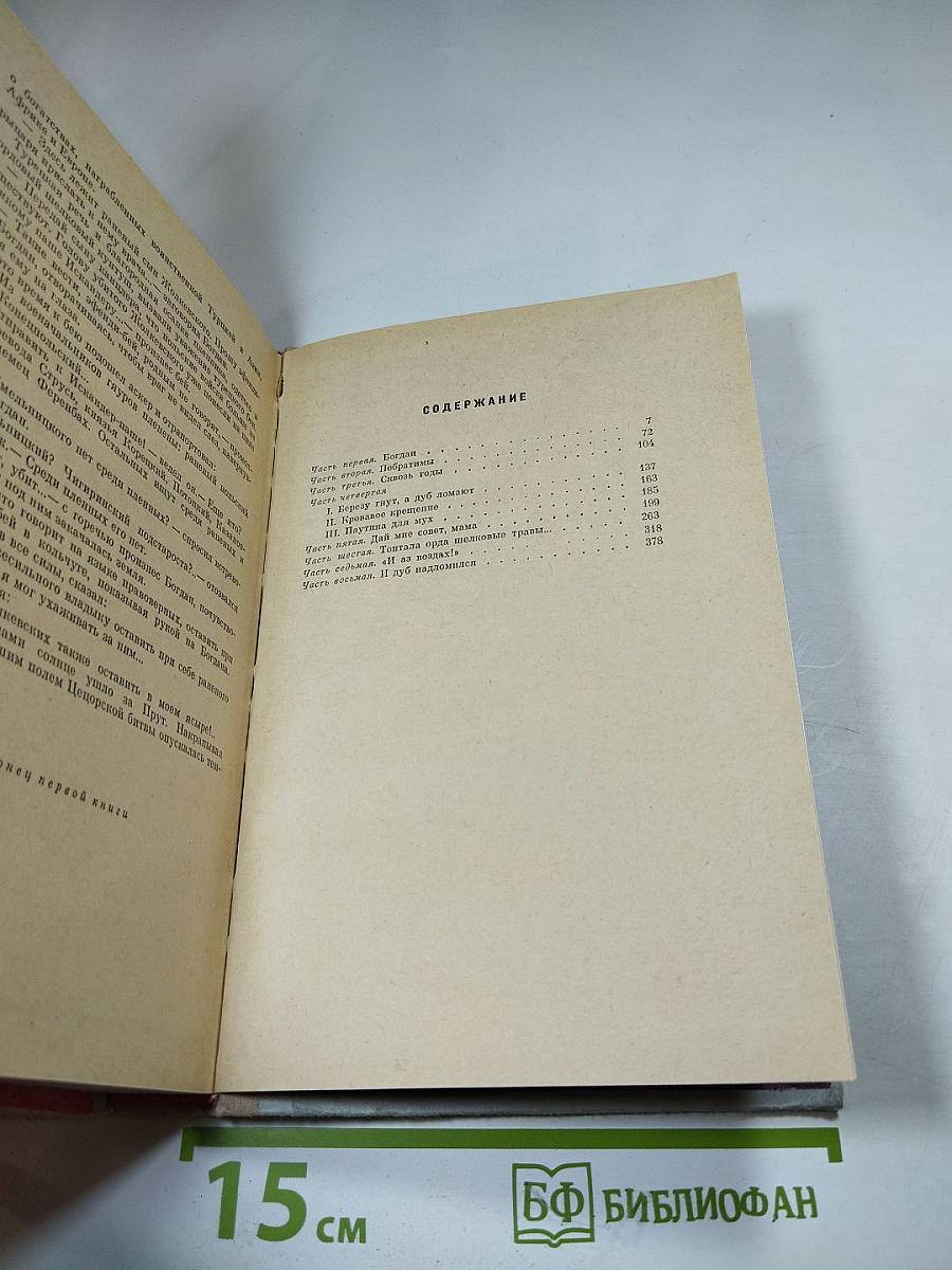 Хмельницкий. Книга первая