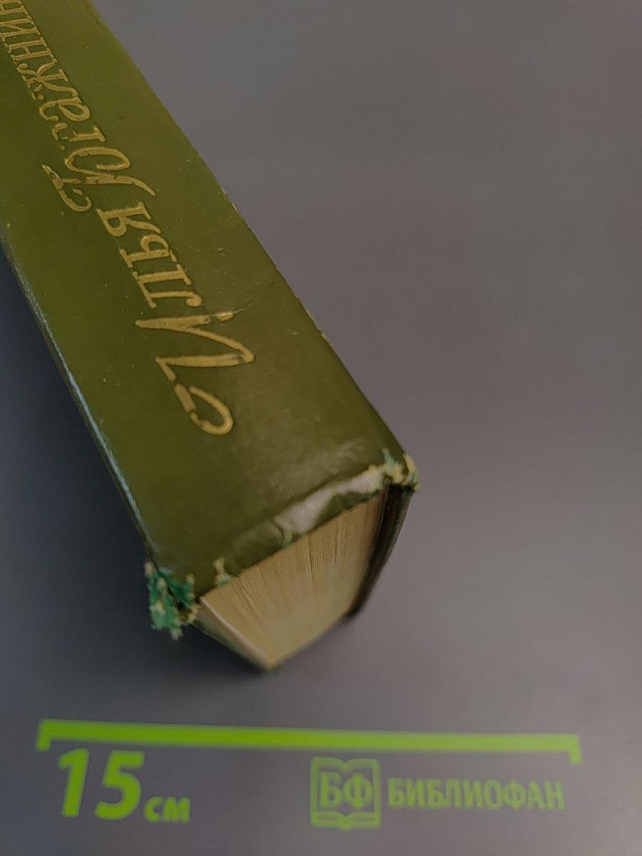 Сумка волшебника