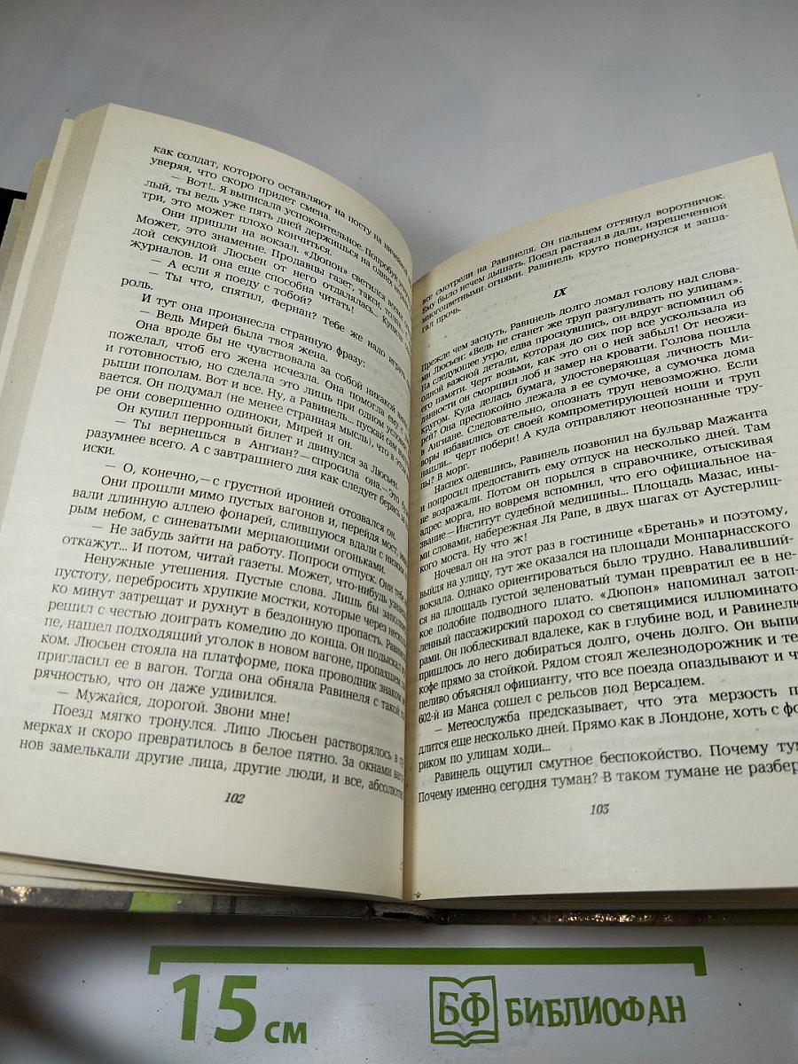 Современный французский детективный роман