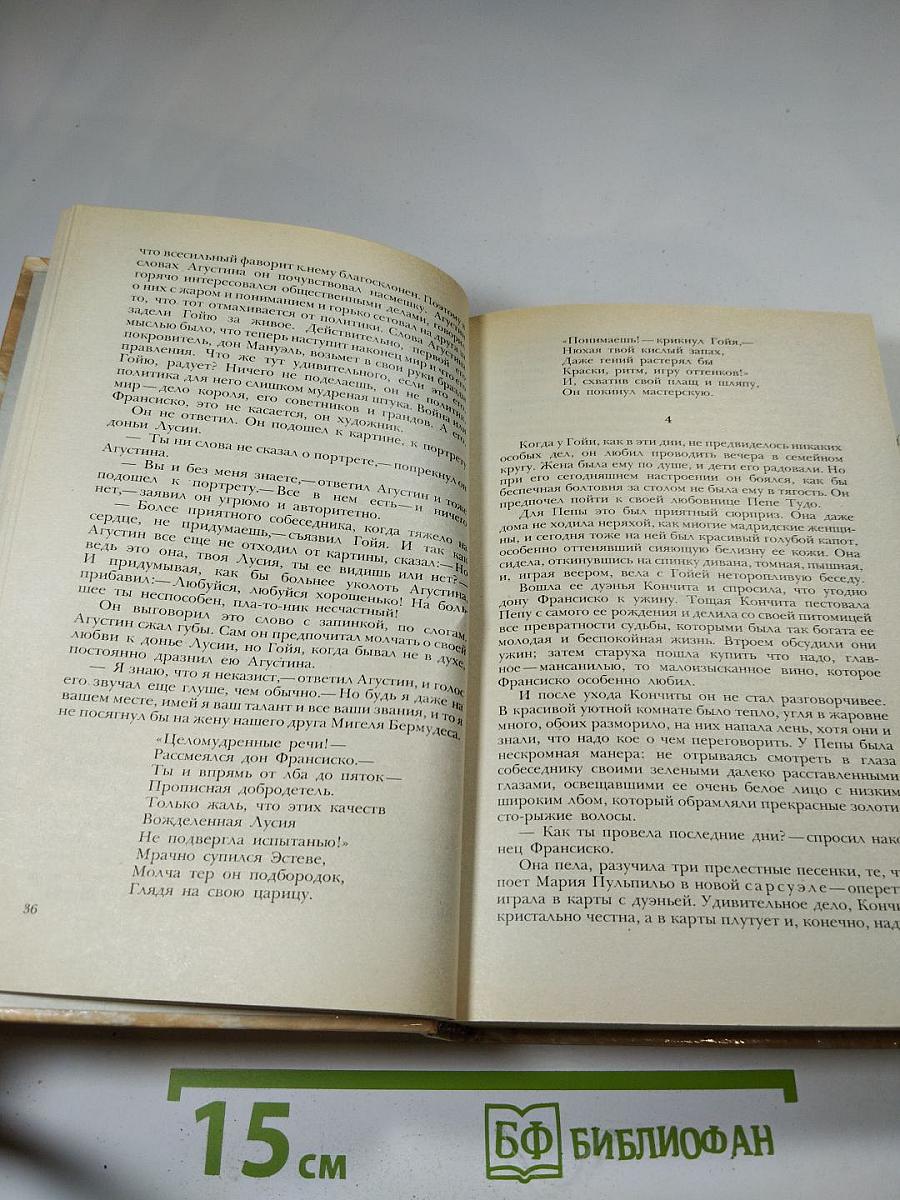 Гойя, или Тяжкий путь познания