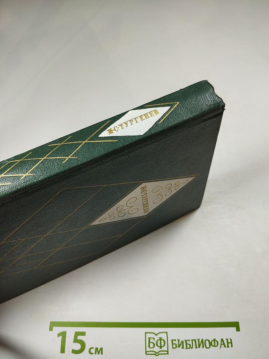 Собрание сочинений. Том второй. Рудин. Дворянское гнездо