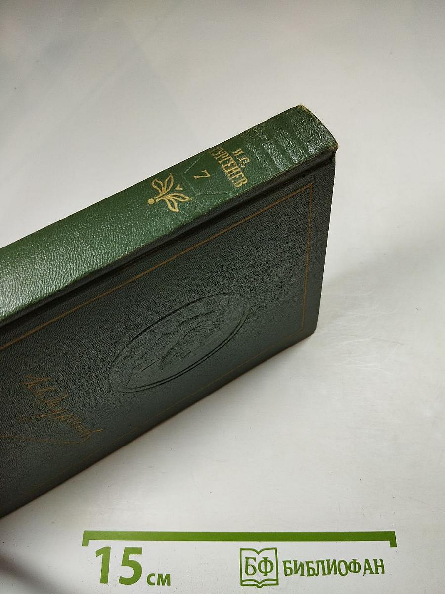 Собрание сочинений. Том седьмой. Повести и рассказы 1868-1870 годов