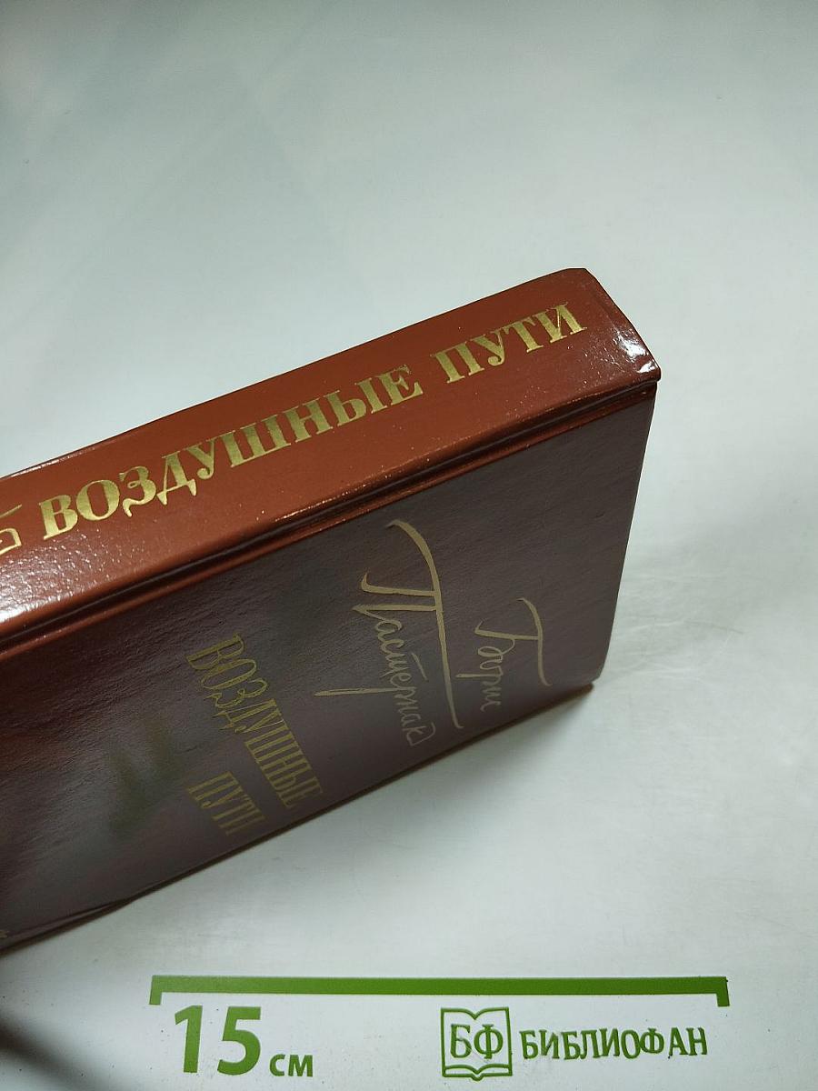 Воздушные пути