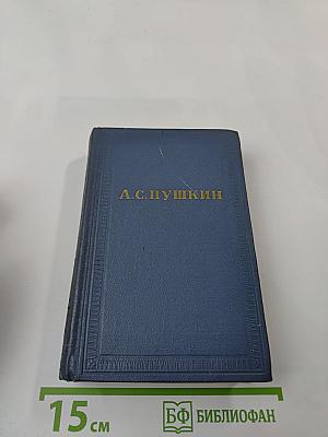 История Петра. Заметки. Камчатке (Полное собрание сочинений, Том девятый)
