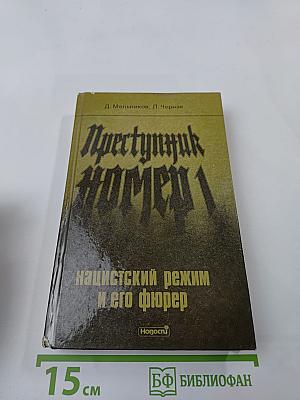 Преступник номер 1: нацистский режим и его фюрер