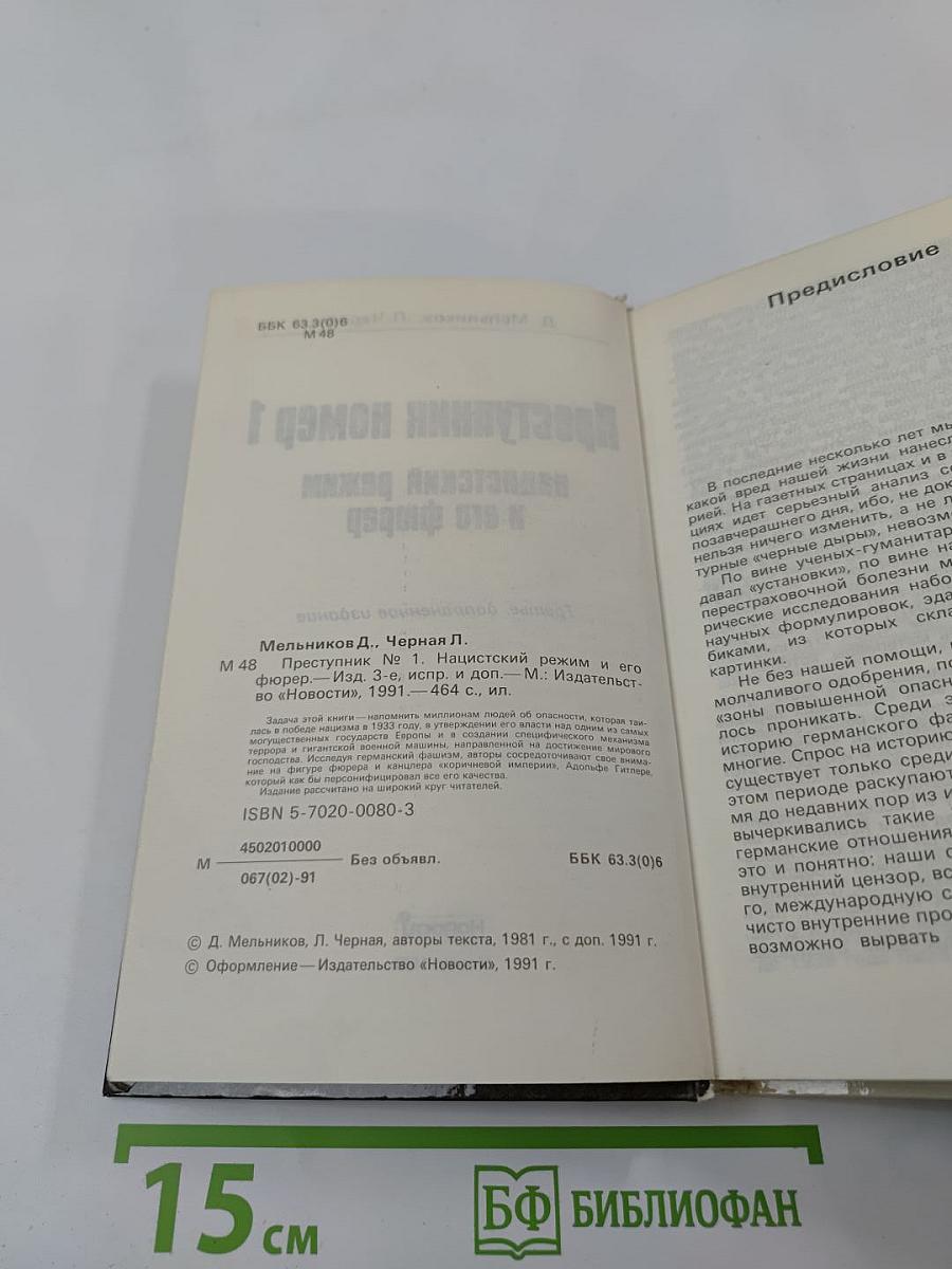 Преступник номер 1: нацистский режим и его фюрер