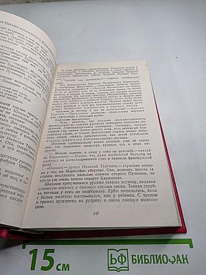 Повесть о братьях Тургеневых. Осуждение Паганини
