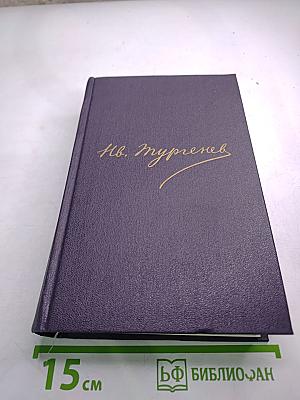Полное собрание сочинений и писем. Письма. Том четвертый. 1859-1861