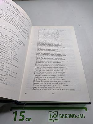 Полное собрание сочинений и писем. Письма. Том четвертый. 1859-1861