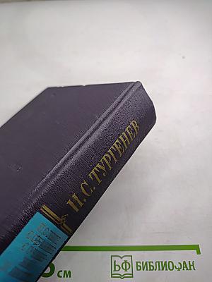 Полное собрание сочинений и писем. Письма. Том четвертый. 1859-1861