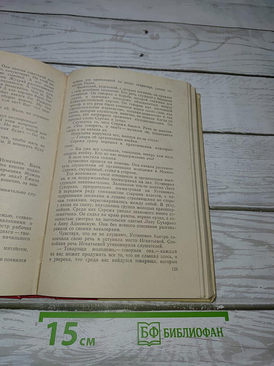 Как закалялась сталь