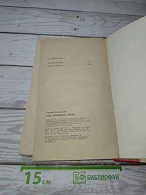 Как закалялась сталь