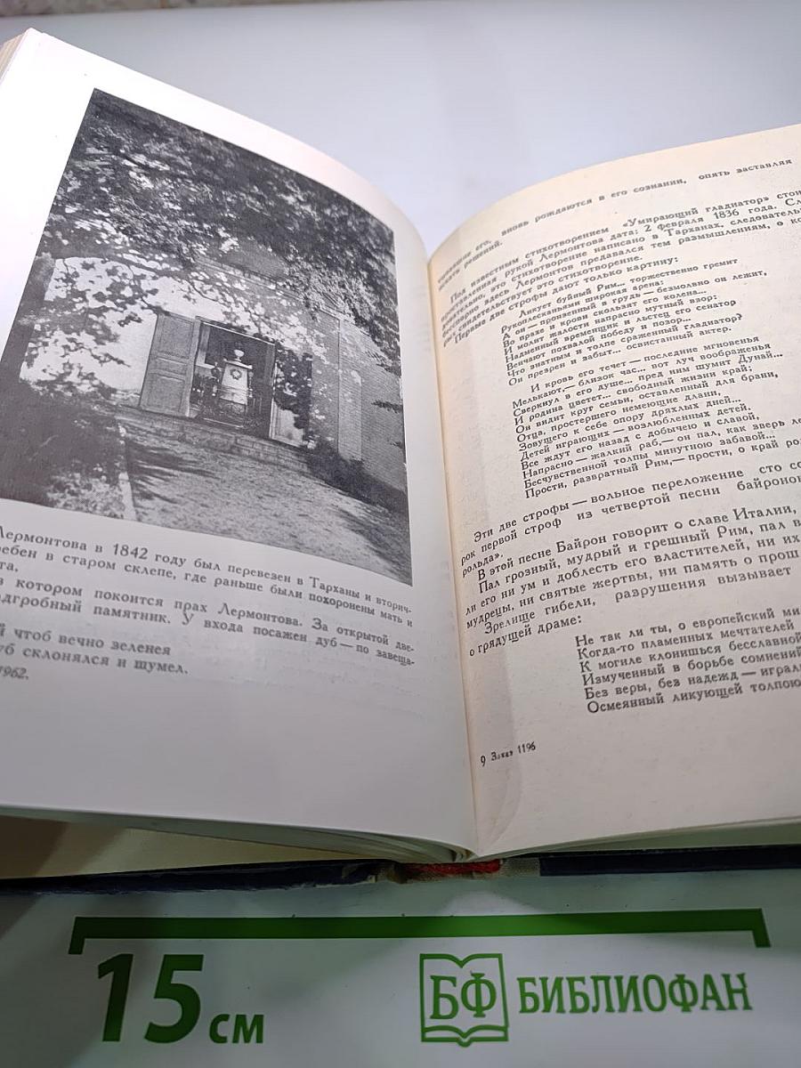 Всеведенье Поэта