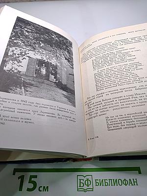 Всеведенье Поэта