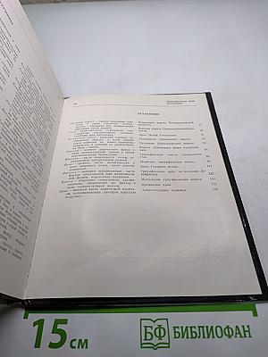 Триумфальные арки Ленинграда