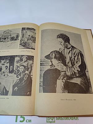 Открой мои книги...