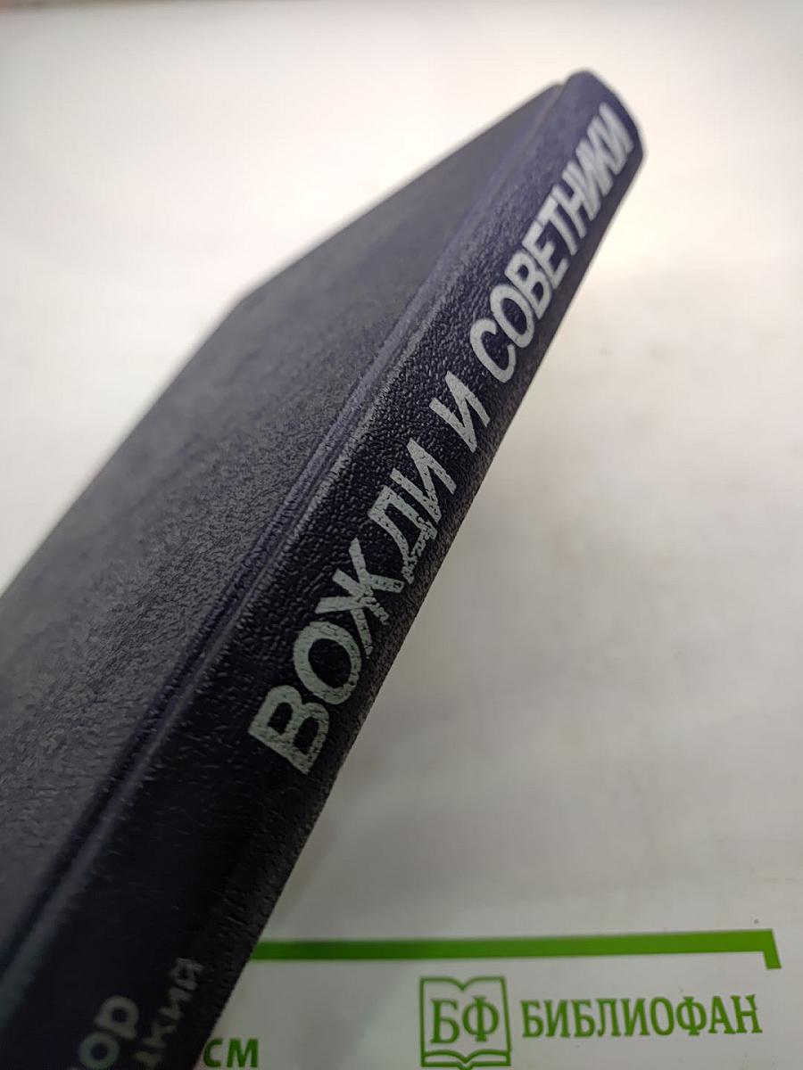 Вожди и советники. О Хрущеве, Андропове и не только о них...