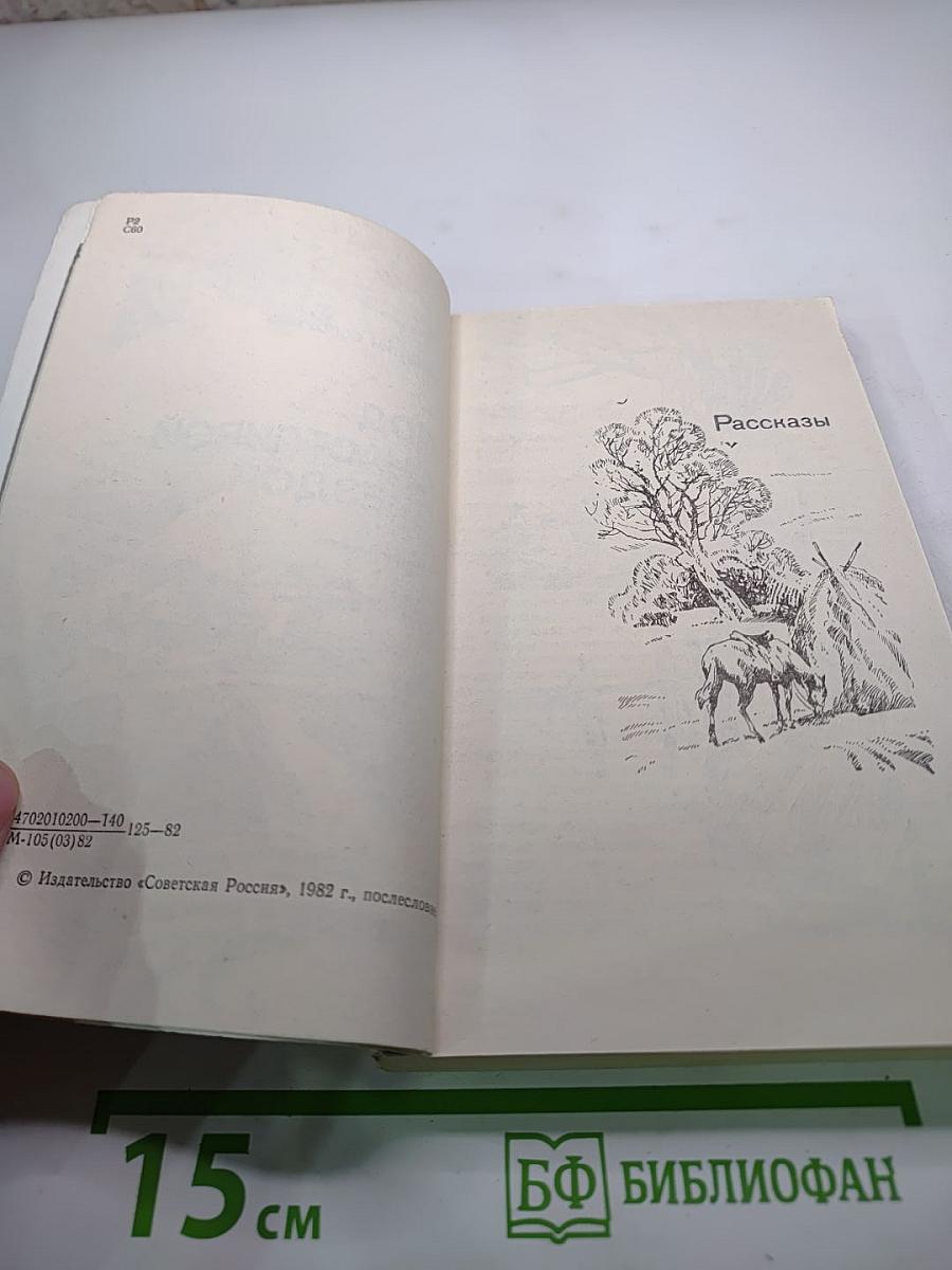 Под счастливой звездой