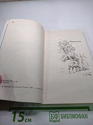 Под счастливой звездой