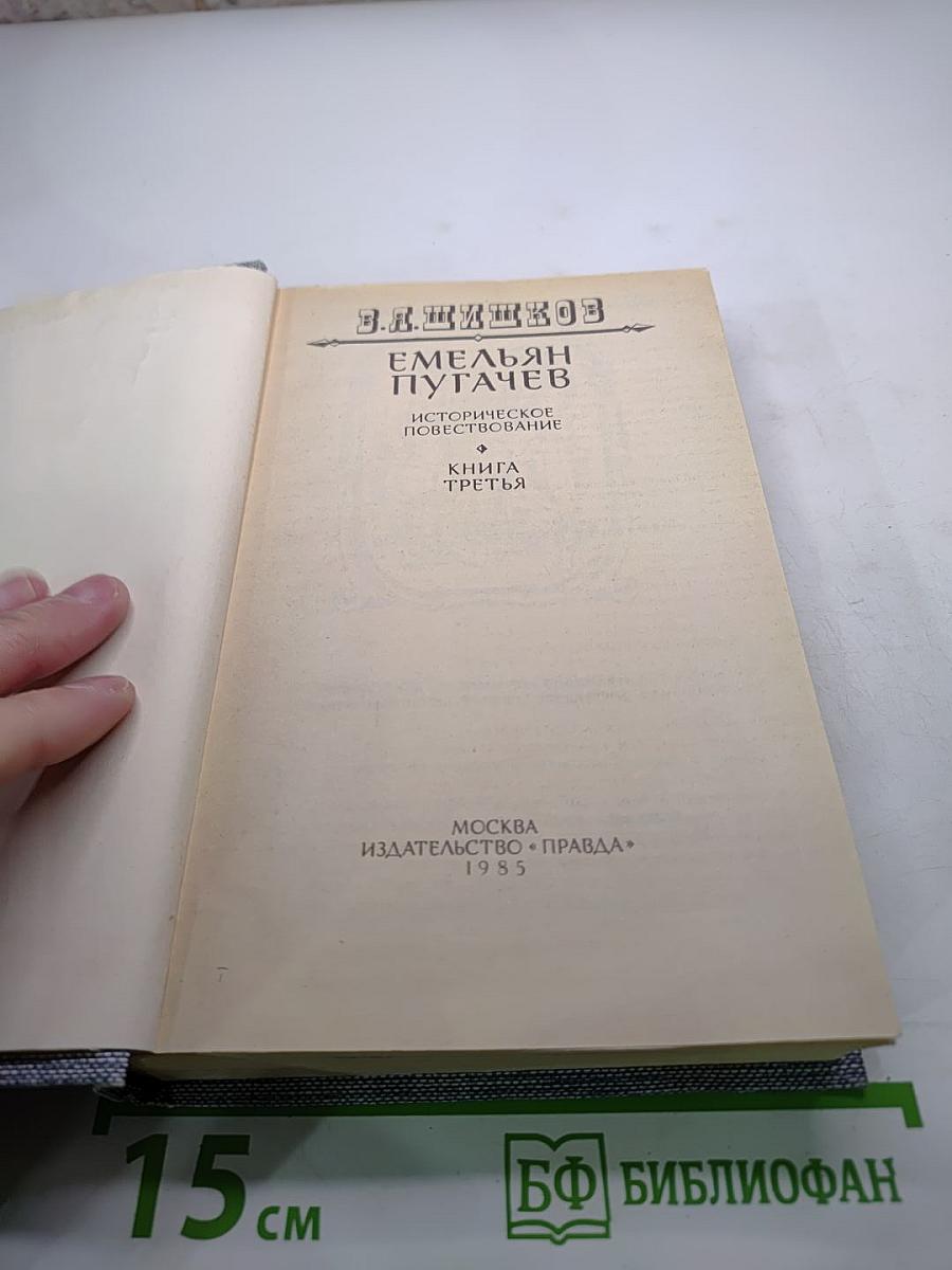 Емельян Пугачев. Книга третья