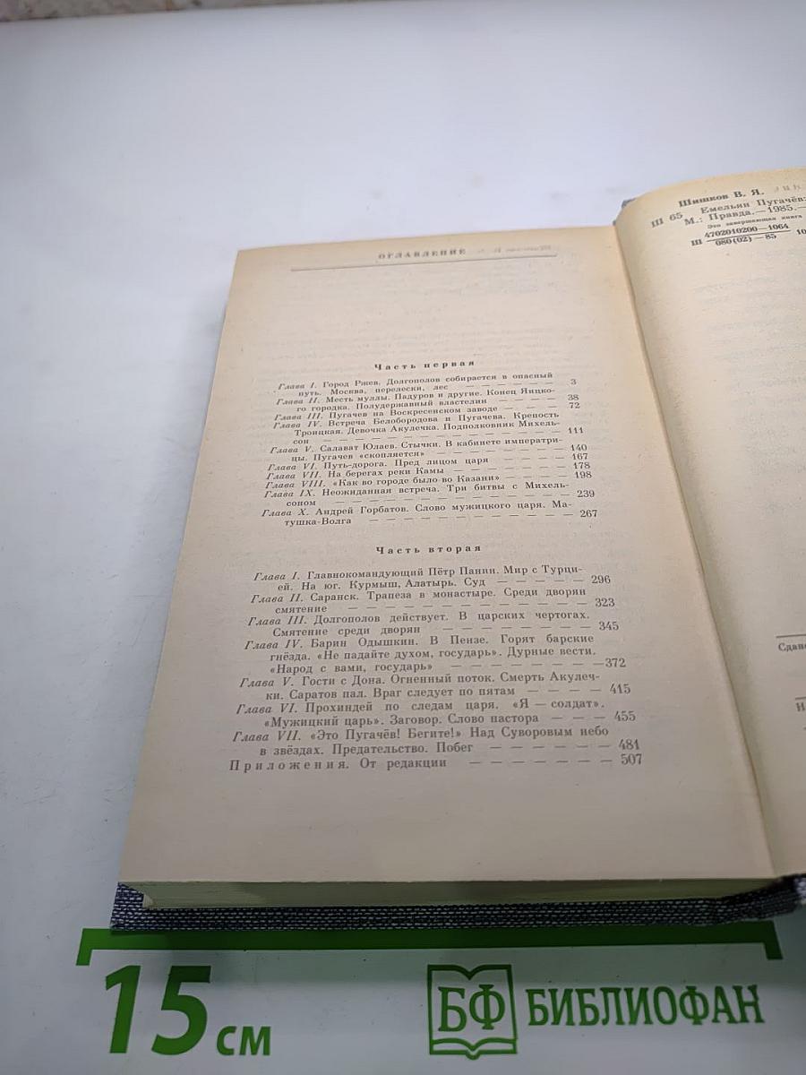 Емельян Пугачев. Книга третья