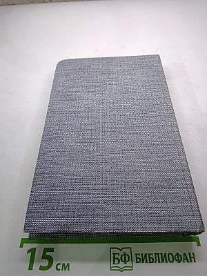 Емельян Пугачев. Книга третья