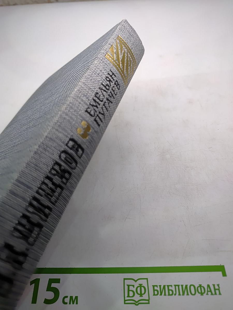 Емельян Пугачев. Книга третья